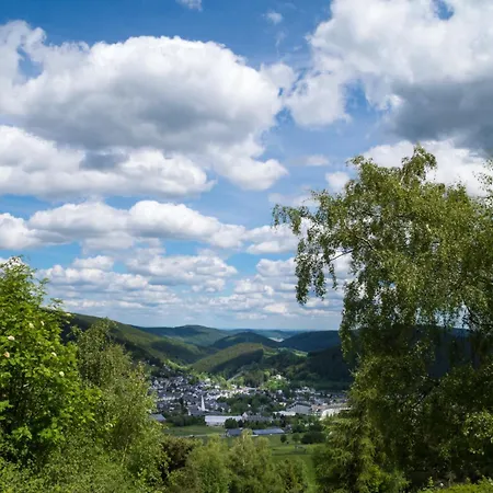 Zur Schoenen Aussicht Apartment Willingen (Upland)